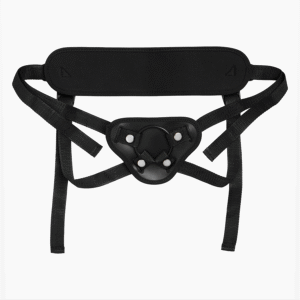 Arnes Elephant - Image 2