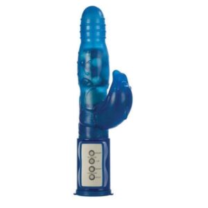 BASIC ESSENTIALS DOLPHIN